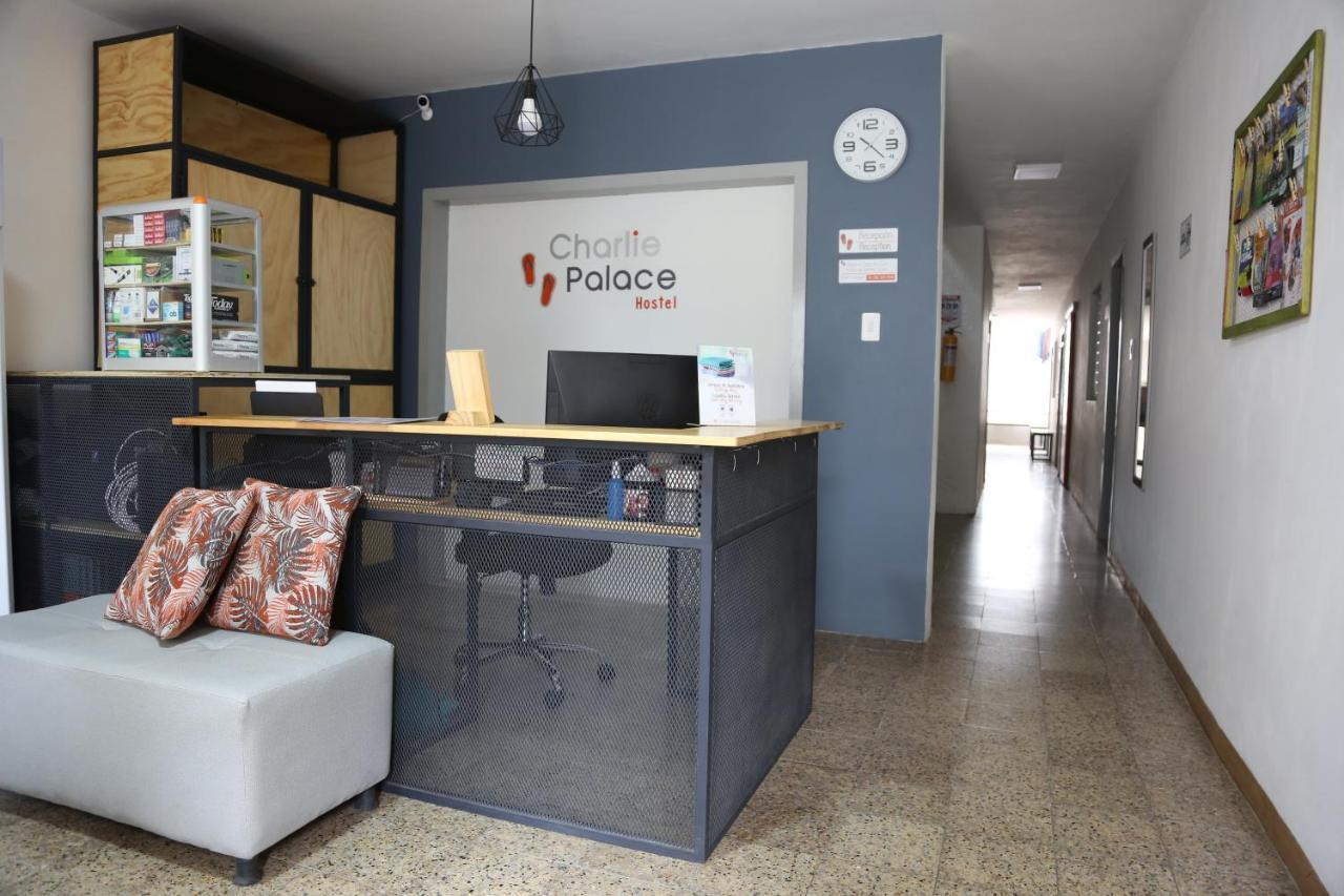 Charlie Palace Hostel Medellín Exteriör bild